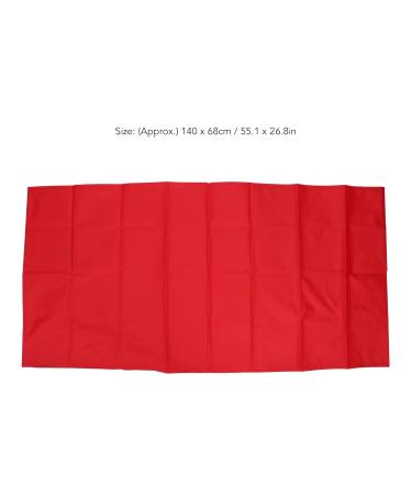 Buy Patient Slide Sheet - Breathable Nylon Transfer Aid for Hospitals & Home Care (140x68cm) - Buy Online on GoSupps.com