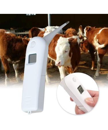 Xuebai Veterinary Thermometer Fast Digital Pet Thermometer for Pigs Cattle Sheep Dogs Horse Including AAA Battery Hanging Rope Veterinary Thermometer Show - Buy Online on GoSupps.com