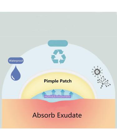 ZHIYE Pimple Patches 36 Spot Patches Hydrocolloid Patches Invisible Acne Stickers for Skin Treatment (8mm 12mm) - Buy Online on GoSupps.com