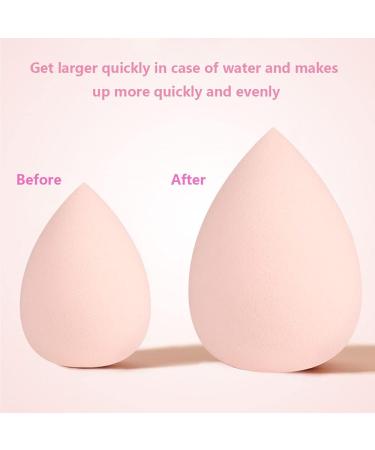 Qlarnaweer Beauty Blender Sponges 8 Pcs Makeup Sponges Blender Set with Egg Case and 1 Sponge Holder Pink Pink 9 Piece - Buy Online on GoSupps.com