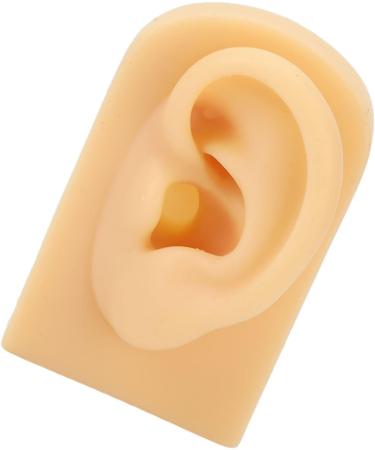 Silicone Artificial Ear Model Simulation of Silicone Ear Model for Practicing Sutures (Left) - Buy Online on GoSupps.com