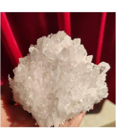 Natural Crystal Rough for 1pcs 350g Natural Beautiful White Cluster Specimen Quartz Crystal - Buy Online on GoSupps.com