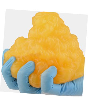 2pcs Fat Model Human Body Fat 5 Pound Fat Science Education Supplies Fat 1lb Base Sports Fitness TPE - Buy Online on GoSupps.com