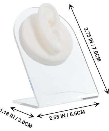 Artibetter Ear Model Set - Silicone Ear Presentation & Piercing Props for Professional Displays - Buy Online on GoSupps.com