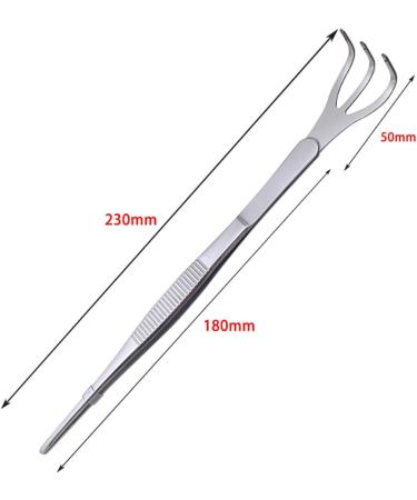 NBGGFF Tweezers Straw Harrow Potted Tool Soil Loosening Tweezers Dual-purpose Gardening Tool Fleshy Tweezers - Buy Online on GoSupps.com