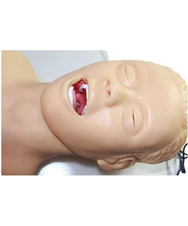 Gljy Intubation Doll - PVC Respiratory Management Trainer for Intubation & Science Education - Buy Online on GoSupps.com