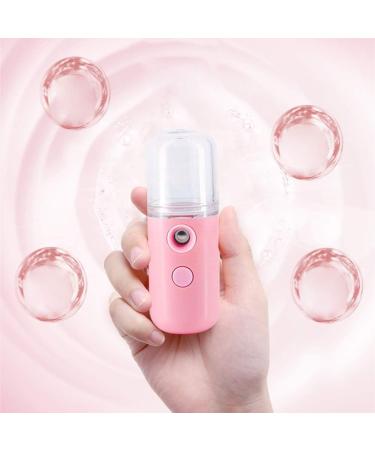 QPOLLY Mini Nano Pulv risateur Facial 30ML Vapeur Visage Vaporisateur Vaporisateur Portable Pulv risateur Brume pour Beaut Visage Humidificateur Soins de Peau Eau SPA Hydratant 1PCS Rose - Buy Online on GoSupps.com