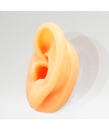 Ear Display Mould Lifelike Soft Fake Ear Model Professional Silicone Flexible for for Hospital - Buy Online on GoSupps.com