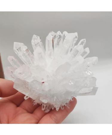 Home Decor 1pcs Natural Raw Quartz White Clear Crystal Cluster Stones Crystal Point Specimen Home Decoration Raw Crystals Gifts Natural Crystal (Size : 700-800g) Crystal Cluster (Size : 300-400g) - Buy Online on GoSupps.com