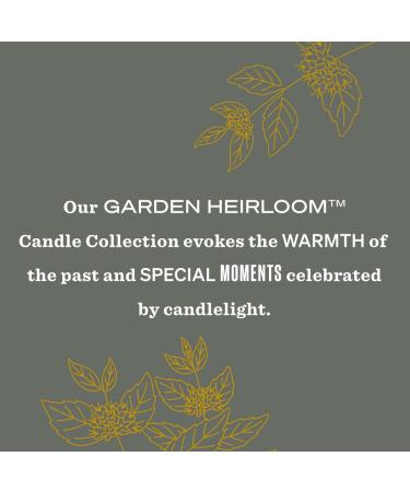 Mrs. Meyer's Clean Day Garden Heirloom Wild Mint Scented Soy Candle - 14 Ounce Large Eco-Friendly Candle for Home and Gift - Buy Online on GoSupps.com