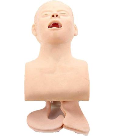 Adult Intubation Manikin - Oral Nasal Airway Management Simulator | Nursing Education Trainer with Removable Conversion Kit - Buy Online on GoSupps.com