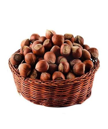 Hazelnuts in the shell (3 kg) | Hazelnut / in bowl / vegan / natural / untreated / high quality / healthy and cheap hazelnut with bowl 3 kg (1 Pack)