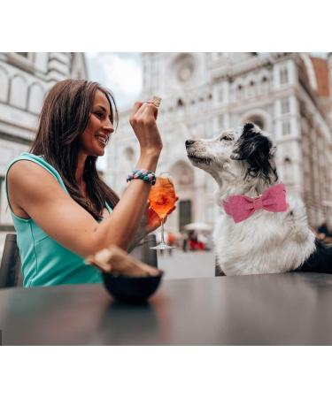 Dogwong Black Dog Collar with Removable Fly - Adjustable & Comfortable for Small Medium Dogs - Perfect Gift for Girls (Pack of 1) - Buy Online on GoSupps.com