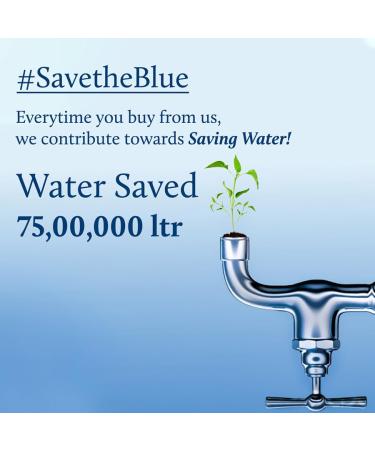 Blue Nectar Chamba Wild Nargis Body Mist for long lasting freshness and aromatic body odor (3.4 Fl oz) Floral Daffodil (Nargis) 3.4 Fl Oz (Pack of 1) - Buy Online on GoSupps.com