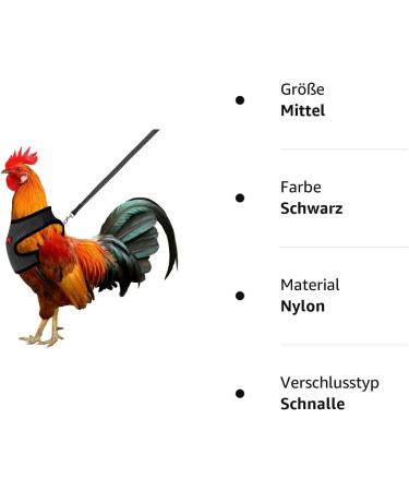 Molain Adjustable Chicken Harness with Leash | Breathable Chicken Vest for Ducks & Hens (2-11 lb) - Comfortable Training Mesh Dish - Buy Online on GoSupps.com
