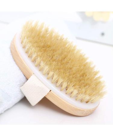Zhurson Body Brush - Natural Oval Bristle for Lymphatic Health Blood Circulation Metabolism Boost & Exfoliation - Buy Online on GoSupps.com