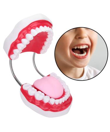 Portable Dental Model for Kids - Lifelike Teeth Brushing Demonstration & Educational Teaching Material - Buy Online on GoSupps.com