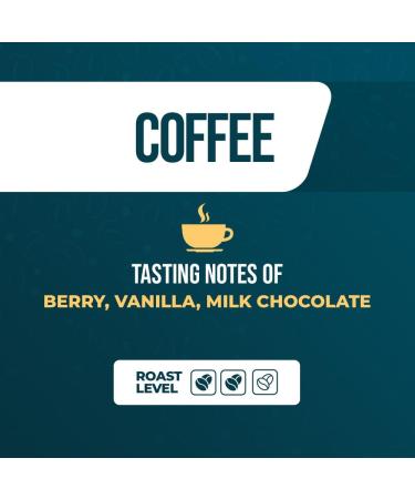 Lucky Cuppa's "Drink Me Potion" Alice's Liscio Adventure Blend - Medium Roast Arabica Coffee Beans - Quality Whole Coffee Beans - Alice in Wonderland Gifts for Men - 250g - Buy Online on GoSupps.com