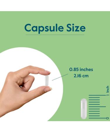 BESTVITE Vitamin B-2 (Riboflavin) 400mg (240 Vegetarian Capsules) (120 x 2) - High Potency Energy Skin & Cellular Health Healthy Nervous System Support Vegan Gluten Free - No Stearates 240 Count (Pack of 1) - Buy Online on GoSupps.com