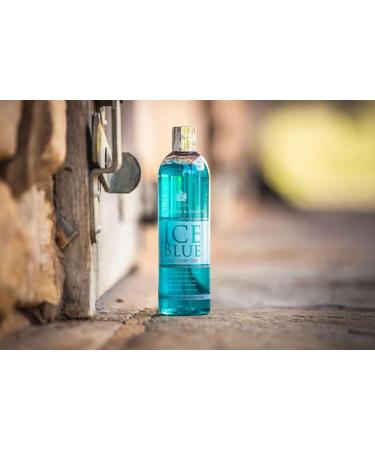 Carr & Day & Martin Cooling Gel Ice Blue Leg Cooler 500ml - Fast International Shipping | Premium Equine Care - Buy Online on GoSupps.com