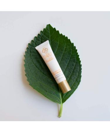 Age-Defying Eye Cream with Sea Buckthorn Oil | Sibu Beauty Sea Berry Therapy 0.5 fl oz - Buy Online on GoSupps.com