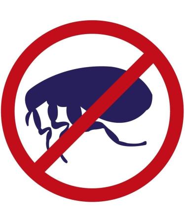 Zero In Electric Flea Killer Comb For Pets Cats & Dogs Poison Free Destroy Fleas - Buy Online on GoSupps.com