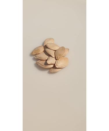 10 Seeds - SPAGHETTI Squash Vegetal - Cucurbita pepo