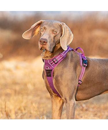 Buy Truelove No Pull Dog Harness - Reflective Adjustable Soft Padded Vest with Handle TLH56512 L Orange | International Shipping - Buy Online on GoSupps.com