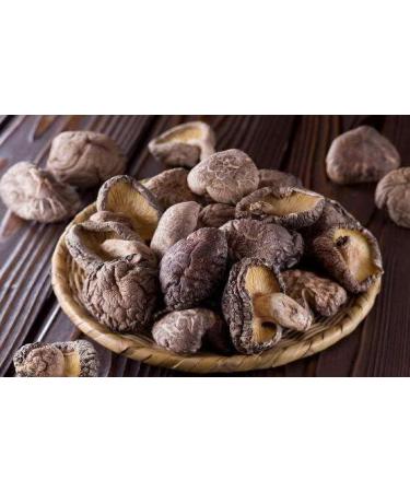 WATSON Premium Mushroom (Dried) | Dried Shiitake Mushroom | Dried Mushrooms | 227g / 8oz | Dried mushrooms for cooking | Vacuum-Locked Nutrients | Mushroom Soup Making | Dried Chinese mushroom | Selected Mushroom | - Buy Online on GoSupps.com