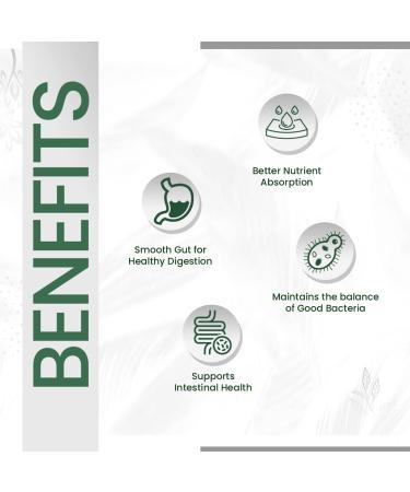 Himalayan Organics Probiotics 35 Billion CFU Supplement | Better Nutrient Absorption | Healthy Digestion Stronger Immunity & Overall Wellness - 100 Veg Capsules - Buy Online on GoSupps.com