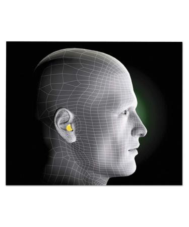 Buy Uncorded Ear Plugs in Bulk - Premium Quality & Fast International Shipping - Buy Online on GoSupps.com