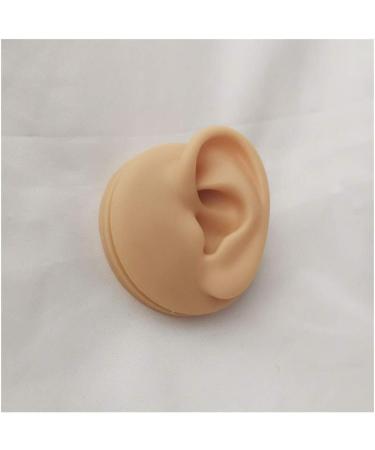 Silicone Ear Model - Human Ear Model Simulation - for Human Body Piercing Acupuncture and Moxibustion Ear Practice Ear Teaching - Buy Online on GoSupps.com