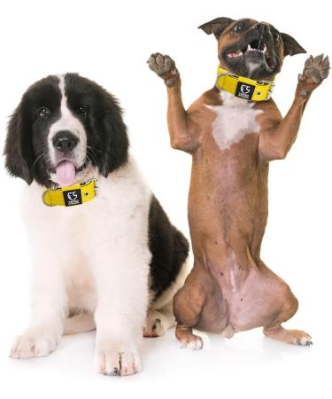 Buy Tspro Tactical Dog Collar - 3.8cm Wide Military Quality Adjustable Size M (44.5-52cm) Durable Yellow with Robust Metal Buckle - Buy Online on GoSupps.com