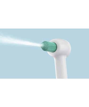 Panasonic WEW0982x503 Replacement Nozzle 2-Pack for EW1611 Oral Shower | Original Accessories & Replacement Nozzles WEW0984 - Buy Online on GoSupps.com