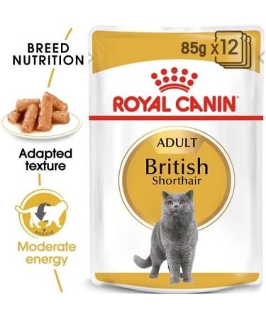 Royal Canin British Shorthair Wet Cat Food 85 g (Pack of 12) - Buy Online on GoSupps.com