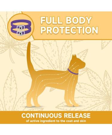 Cat Repellent Treatment Adjustable Cat Repellent Collars Natural Protection Repellent Collar for Cats Water Resistant Repellent Collar for Cats Small-Medium-Large Purple 1pack - Buy Online on GoSupps.com