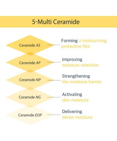 CeraBarrier Moisture Active Skincare Line - Hydrating Cream in Serum for All Skin Types | International Shipping Available - Buy Online on GoSupps.com