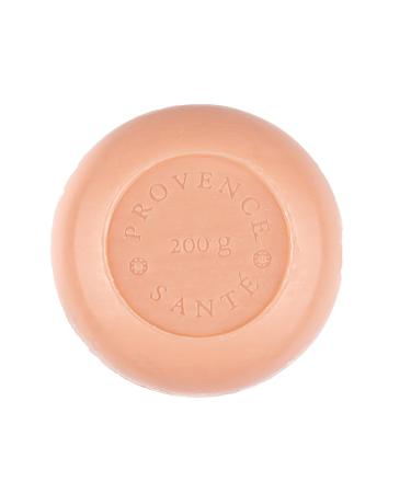 Baudelaire PS Fig Bath Bar with Shea Butter - 7oz French-Milled Soap Gift Box for International Shipping - Buy Online on GoSupps.com