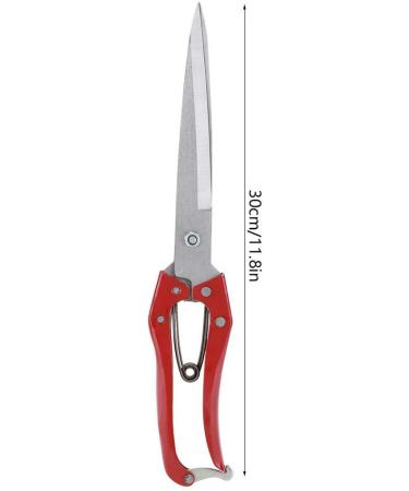 Multifunctional Stainless Steel Sheep Shears & Garden Scissors - 30cm Needle-Nose Plant Rose Vineyards & Florist Scissors - Buy Online on GoSupps.com