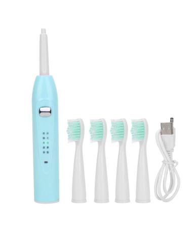 GOTOTOP adult electrical toothbrush soft hair waterproof automatic rechargeable toothbrushes with USB charging 4 brush heads for daily cleaning (Lake Green)
