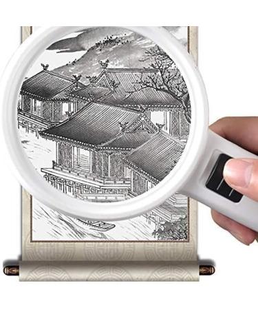 Glass Glass - High Magnification Handheld Magnifier with LED Lights HD Children Primary School Elderly Viewer Portable Glass - Multiple: 30 Times Magnifier Magn Made in China - Buy Online on GoSupps.com