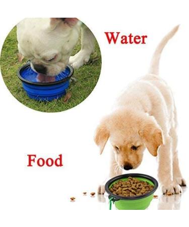 AXGO Collapsible Extra Large Dog Bowl - Portable Foldable Silicone Travel Bowl for Pet Food/Water - Black - 1 Piece - Buy Online on GoSupps.com