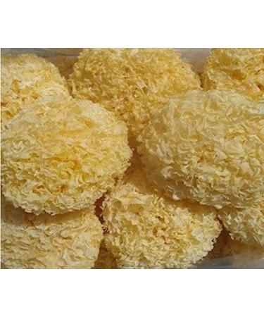 WENXUANSU:2 Pound (908 grams) White Fungus Mushroom Tremella Premium Grade from China