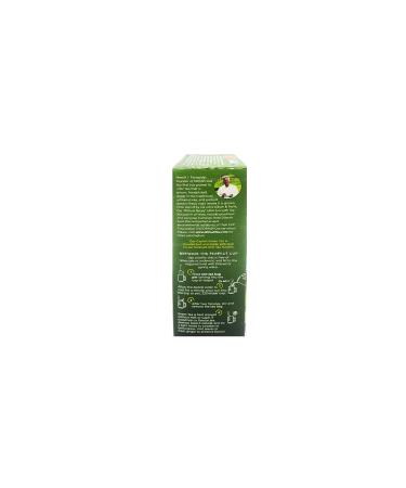 DILMAH Pure Green 1.5g x 20 Tea Bags - Premium Green Tea | [Your Brand Name] - Buy Online on GoSupps.com