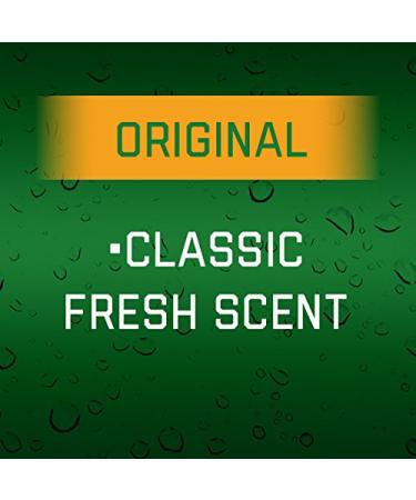 Irish Spring Body Wash Original 18 Fl Oz (Pack of 6) - Buy in Bulk and Save - Buy Online on GoSupps.com