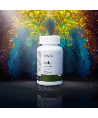 Buy 2x Ostrovit Kelp 250 Tablets | High Dose Laminaria Japonica Extract | Premium Dietary Supplements | International Shipping - Buy Online on GoSupps.com