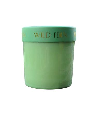 Paddywax Firefly Candle Co. Optimist Scented Candles with Soy Wax Blend and Reusable Glass Jar for Home Fragrance and Aromatherapy - 7 Ounce Wild Fern Sage Green Wild Fern Classic