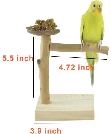 GUANLANT Natural Wood Bird Stand Feeder Toy - Tabletop Portable Parrot Perch Playstand with Feeding Bowl and Treats - Ideal for Parakeets, Conure, Budgies, Lovebirds - Buy Online on GoSupps.com
