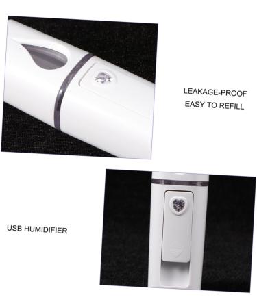 BIUDECO 2 Pcs Nano Mist Sprayer Steamer Face Moisturizing Sprayer Mini Face Humidifier Hunidifier White - Buy Online on GoSupps.com