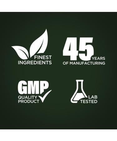 Piping Rock Sunflower Lecithin Liquid Supplement | 16 oz Oil | Naturally-Occurring Phospholipids | Vegan Soy Free Non-GMO Soy Free Gluten Free - Buy Online on GoSupps.com